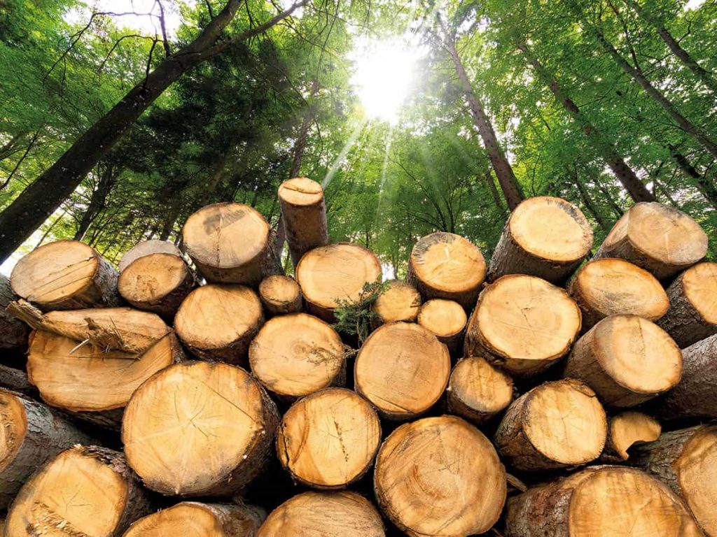 biomass
