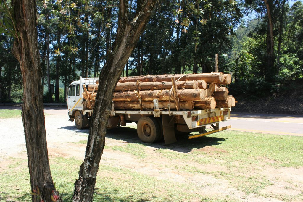 timber truck